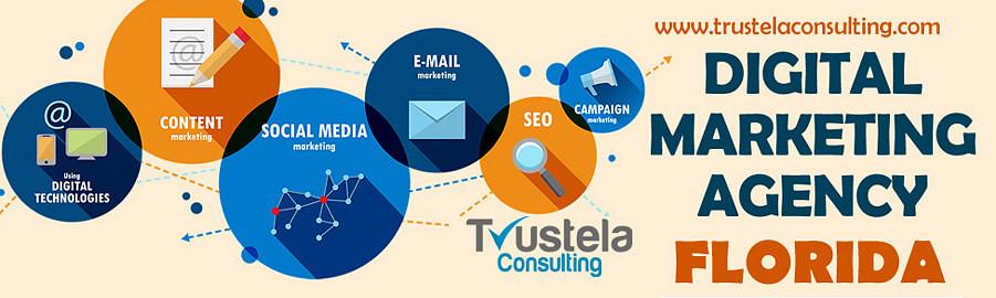 trustela consulting- Best Digital Marketing Agency in Florida USA cover