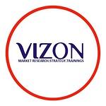 VIZON RESEARCH logo
