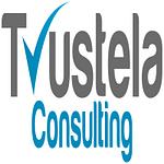 trustela consulting- Best Digital Marketing Agency in Florida USA logo