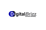 DigitalBrizzz IT and Digital Marketing Company