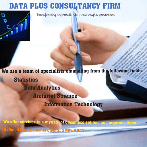 Data Plus Consultancy Firm cover