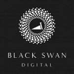 Blackswan Inc | Best Digital Marketing Company | Bangalore