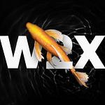 W2XLabs logo