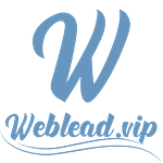 weblead.vip logo
