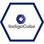 IndigoCube logo