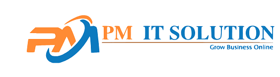 PM IT Solution cover