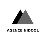 Agence Web Marketing Digital Nidool logo