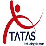 Transatlantic Technology and Services logo