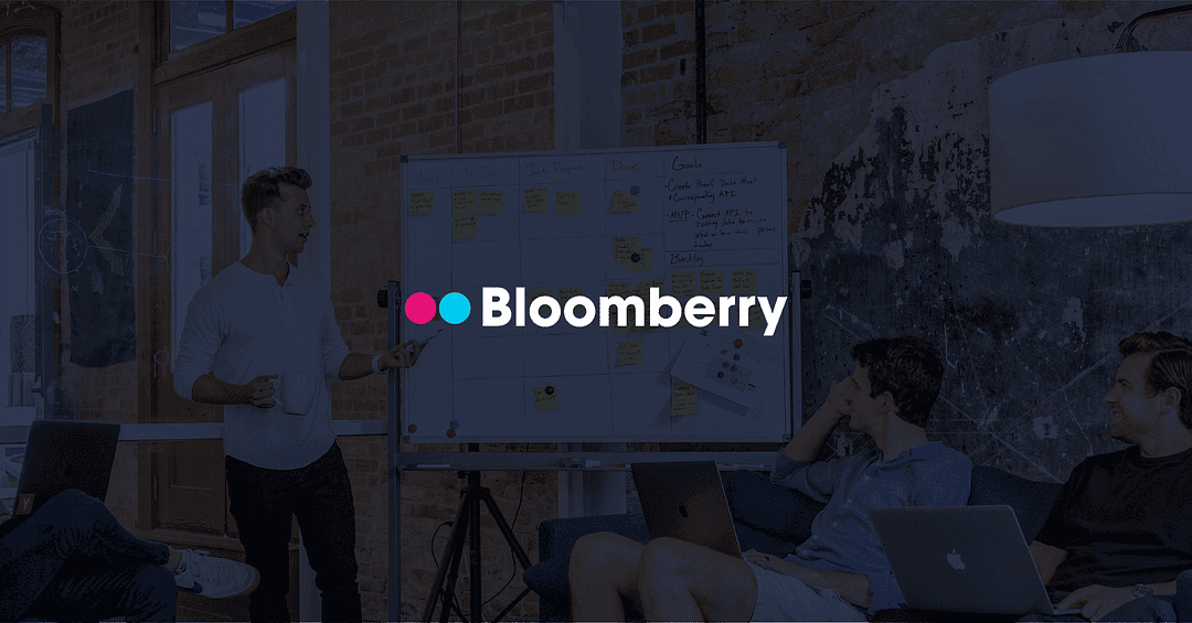 Bloomberry Agency cover