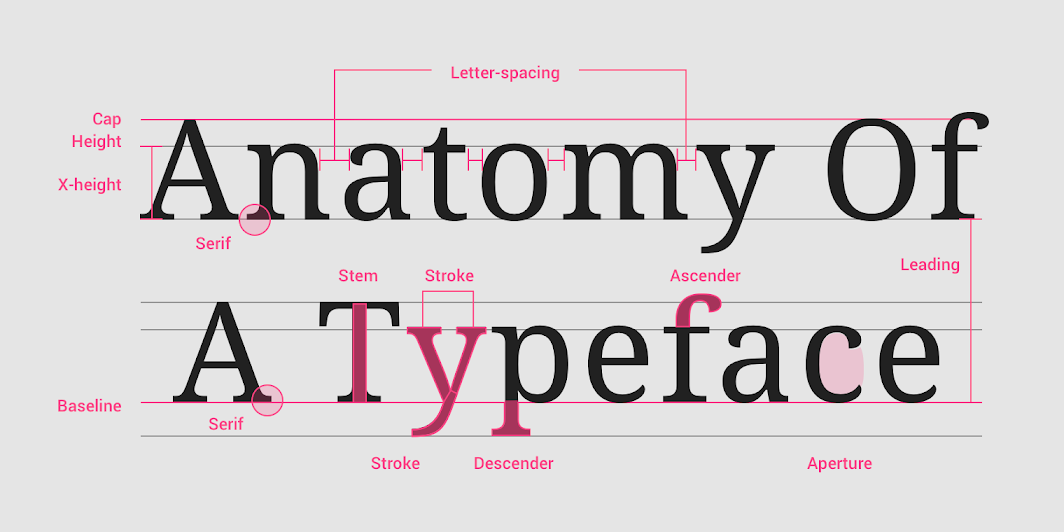 anatomy of typeface for editorial design