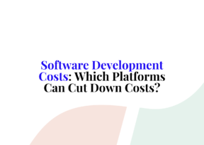 cost for software development