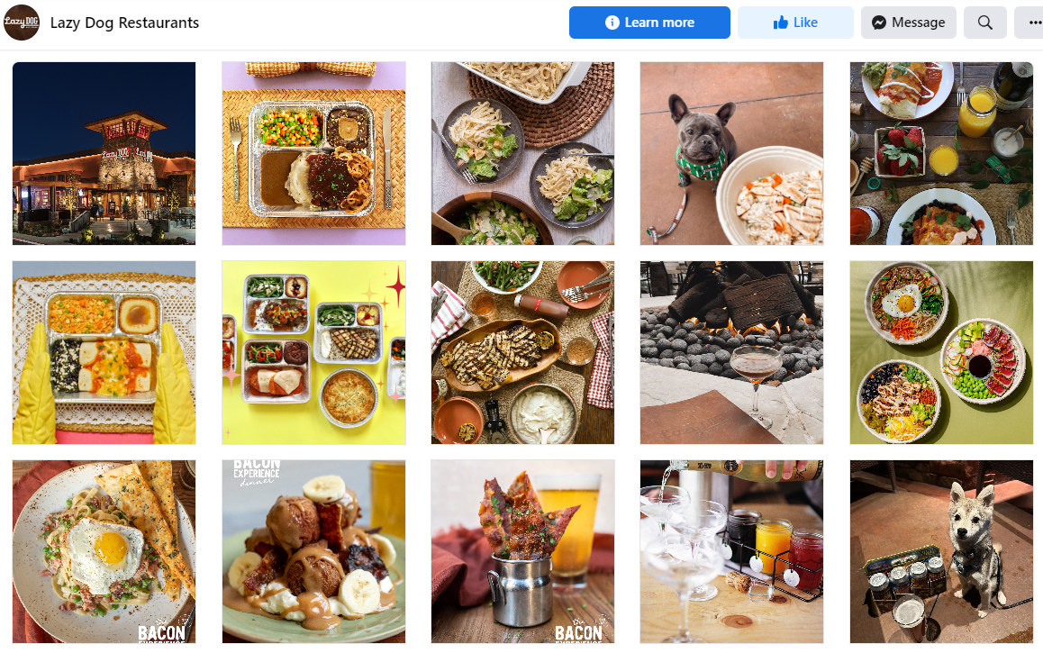 Lazy Dog restaurants Facebook feed