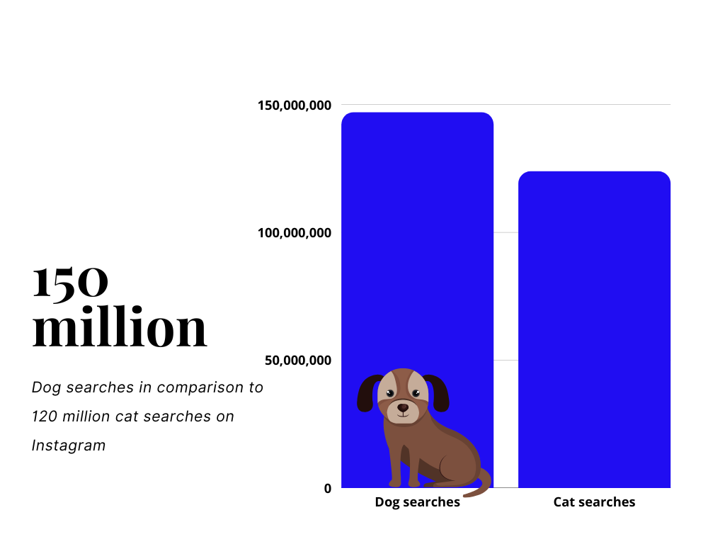 Instagram searches cats vs. dogs