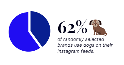 Instagram dog usage
